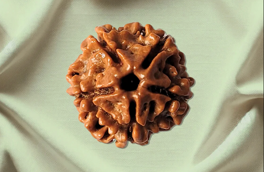 5 Mukhi Rudraksha Mala: Meaning, Benefits & Japa Use