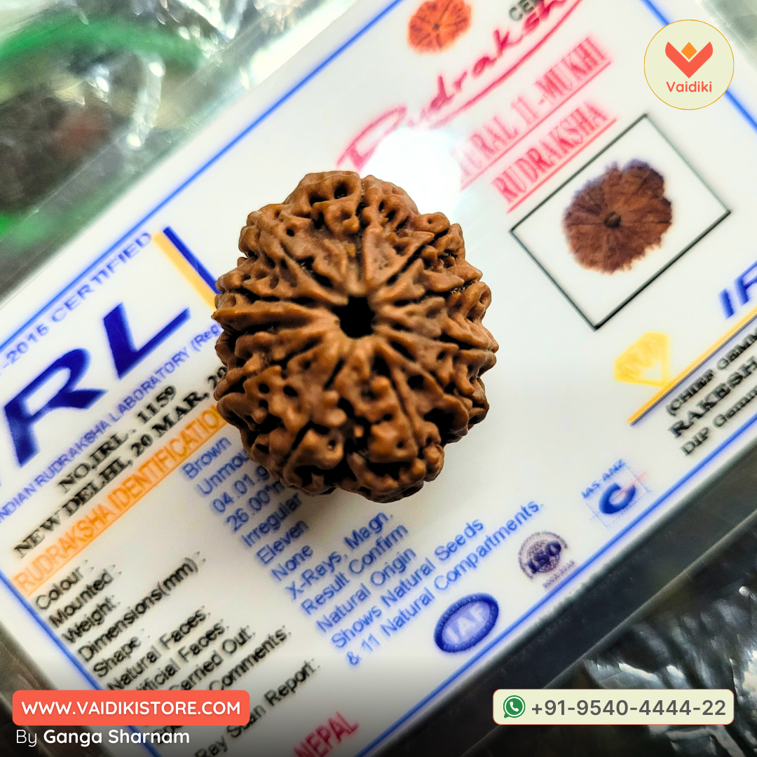 11 Mukhi Rudraksha Bead Nepal Origin - Reduce Stress, Boost Confidence