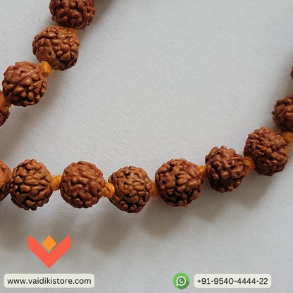 Certified Original 5 Mukhi Rudraksha Mala (108 Beads) with Certificate of Authenticity For Meditation & Mantra Chanting