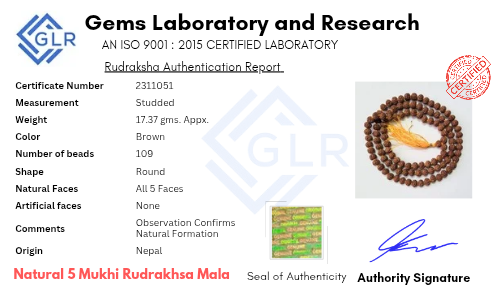 Certified Original 5 Mukhi Rudraksha Mala (108 Beads) with Certificate of Authenticity For Meditation & Mantra Chanting