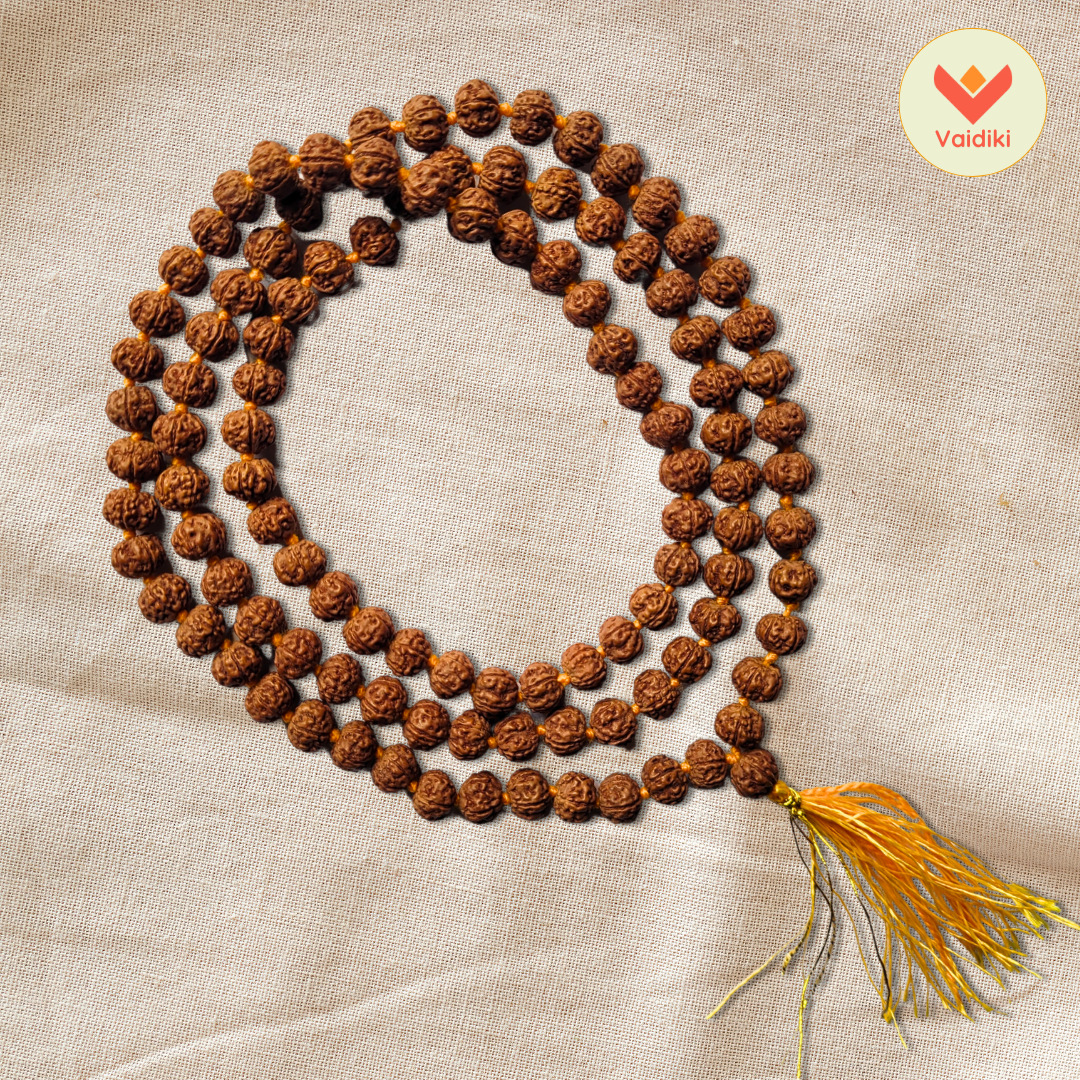 Certified Original Premium Pathri Rudraksha Mala (108+1 Beads) For Spiritual Growth with Certificate of Authenticity