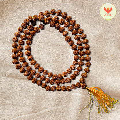 Certified Original Premium Pathri Rudraksha Mala (108+1 Beads) For Spiritual Growth with Certificate of Authenticity