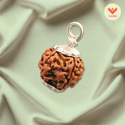 Natural 5 Mukhi Rudraksha Bead – For Protection, Balance, And Growth