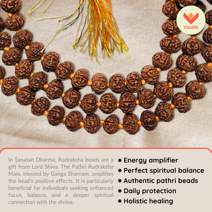 Certified Original Premium Pathri Rudraksha Mala (108+1 Beads) For Spiritual Growth with Certificate of Authenticity