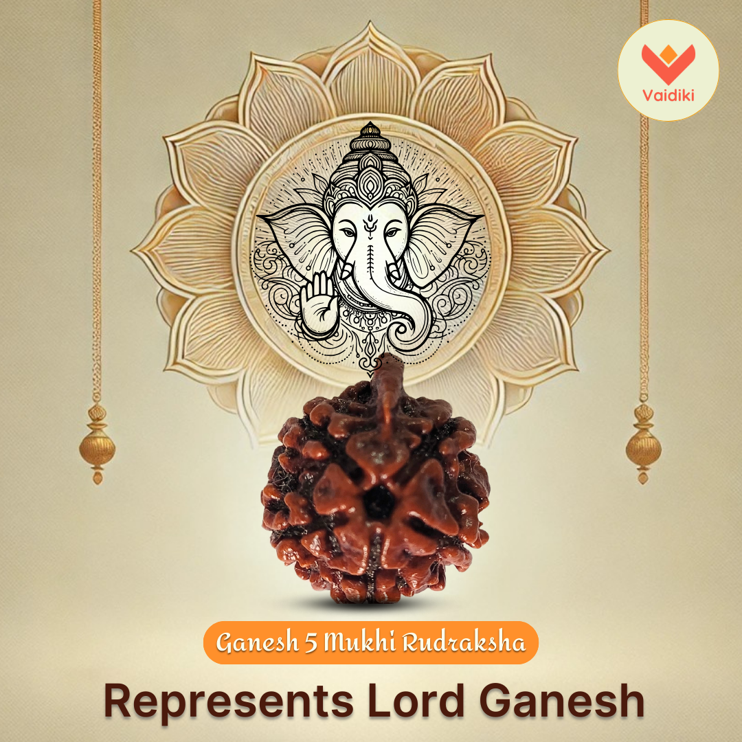 Ganesha 5 Mukhi Rudraksha (Nepal Origin) For Inner Peace