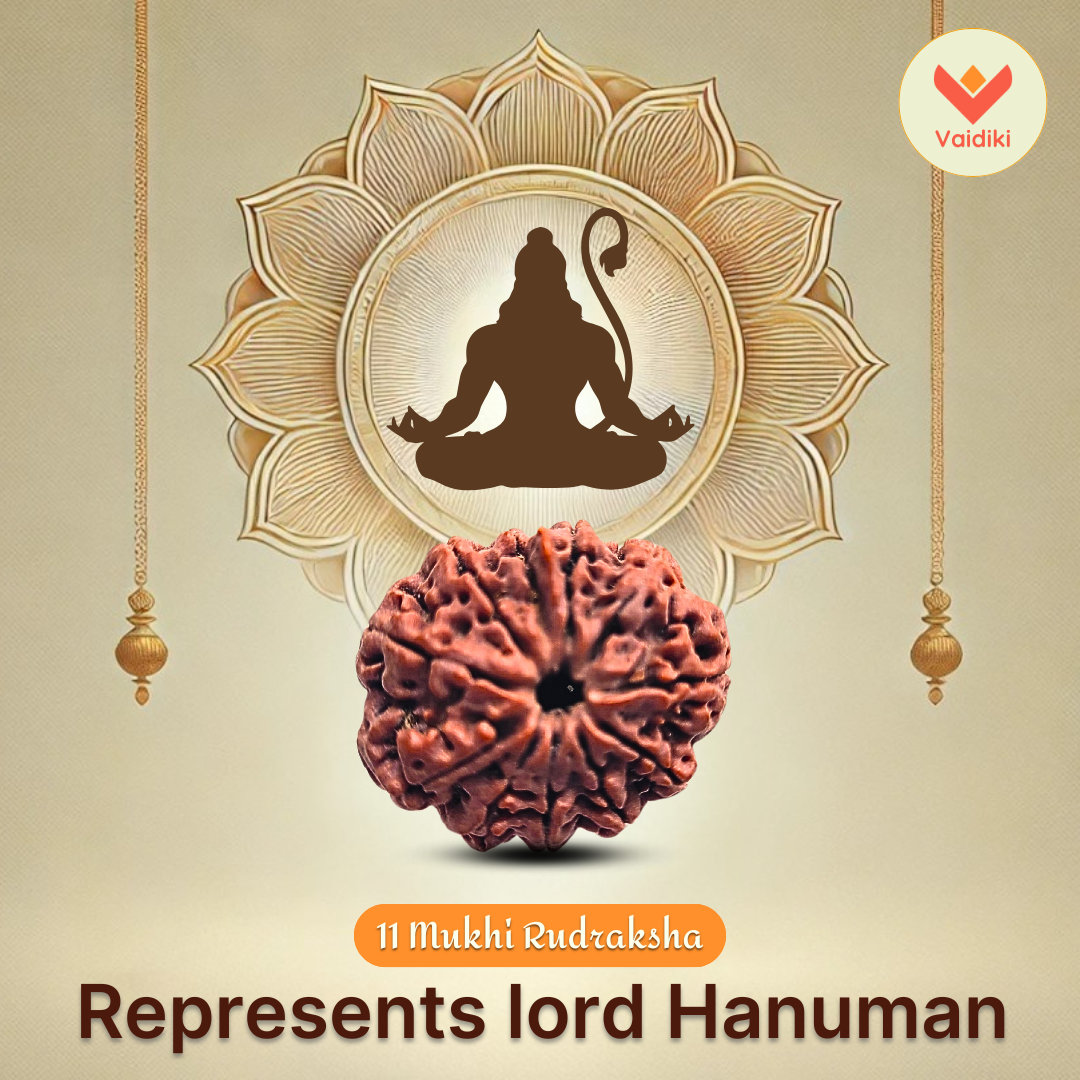11 Mukhi Rudraksha Bead Nepal Origin - Reduce Stress, Boost Confidence
