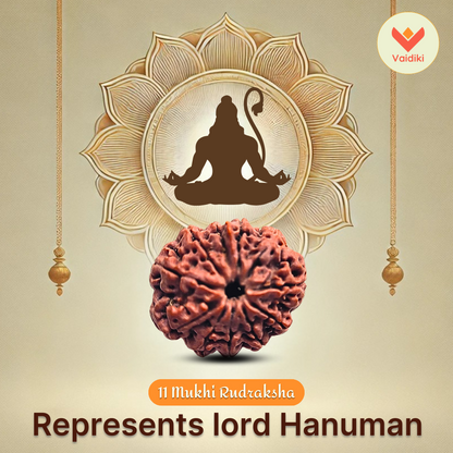 11 Mukhi Rudraksha Bead Nepal Origin - Reduce Stress, Boost Confidence