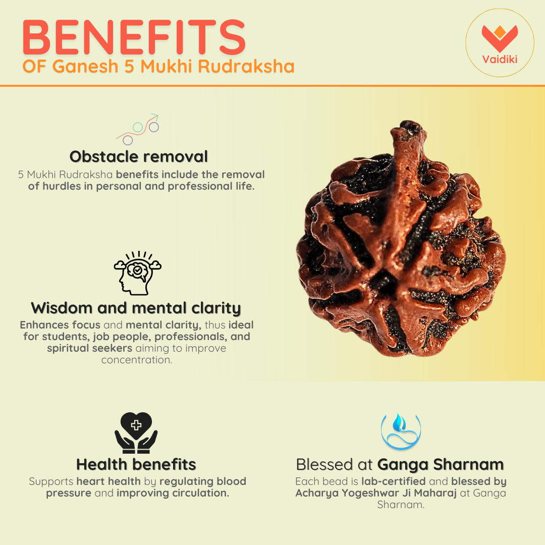 Ganesha 5 Mukhi Rudraksha (Nepal Origin) For Inner Peace