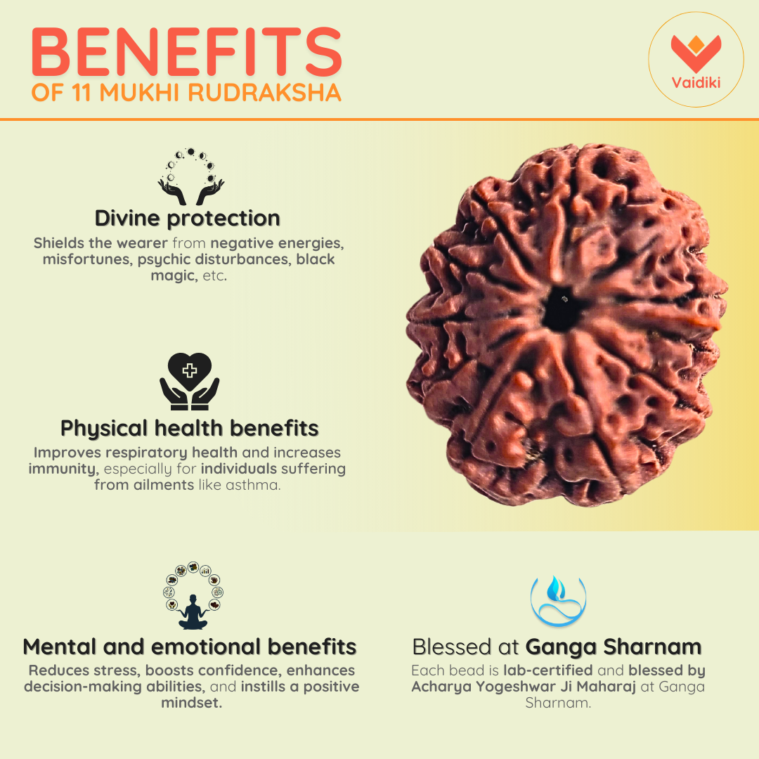 11 Mukhi Rudraksha Bead Nepal Origin - Reduce Stress, Boost Confidence