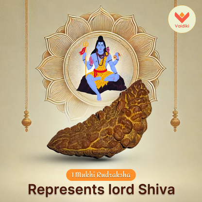 1 Mukhi Rudraksha Bead - For Spiritual Liberation & Enlightenment