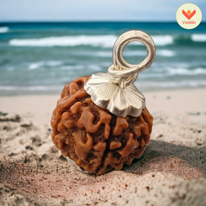 Ganesha 5 Mukhi Rudraksha (Nepal Origin) For Inner Peace