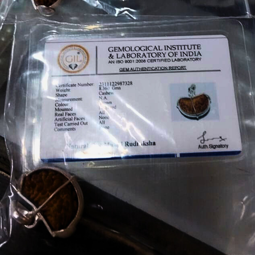 1 Mukhi Rudraksha Bead - For Spiritual Liberation & Enlightenment