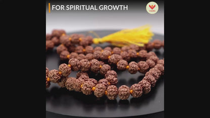 Certified Original Premium Pathri Rudraksha Mala (108+1 Beads) For Spiritual Growth with Certificate of Authenticity