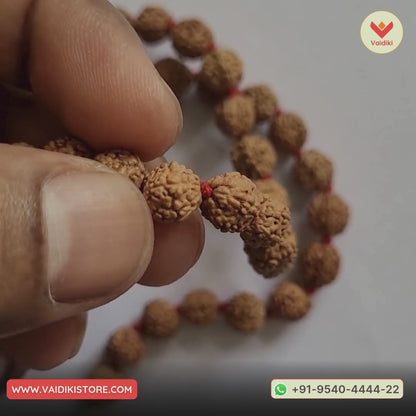 Certified Original 5 Mukhi Rudraksha Mala (108 Beads) with Certificate of Authenticity For Meditation & Mantra Chanting